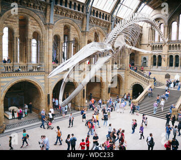 Das Natural History Museum, London Stockfoto