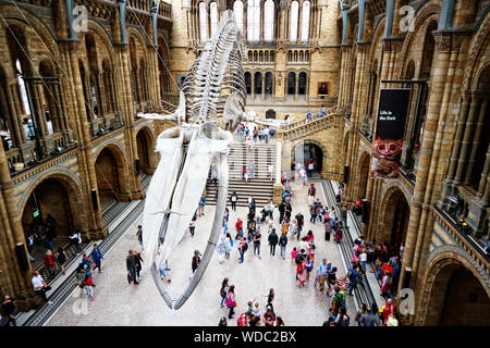 Das Natural History Museum, London Stockfoto