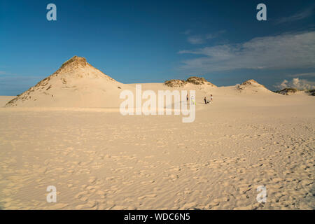 Sand Wanderdünen, Slowinzischer Nationalpark, Pommern, Polen, Europa | Umzug Sanddünen, Slowinski Nationalpark, Pommern, Polen, Europa Stockfoto