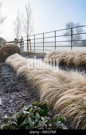 Staudenbeet mit stilvollen, modernen Design, Schiefer Chips & Zeilen von Gräsern (frosty nebligen Wintertag) - privater Garten, Yorkshire, England, UK. Stockfoto