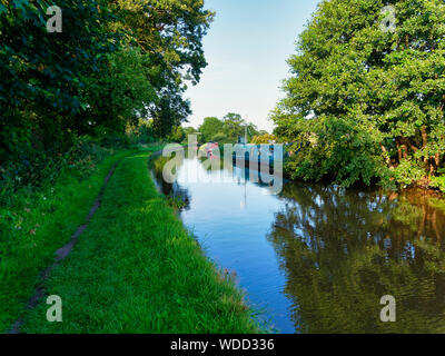 Schmale Boote am Ufer des Shropshire Union Canal in der Nähe von Whitchurch, am späten Nachmittag Sonnenlicht Stockfoto