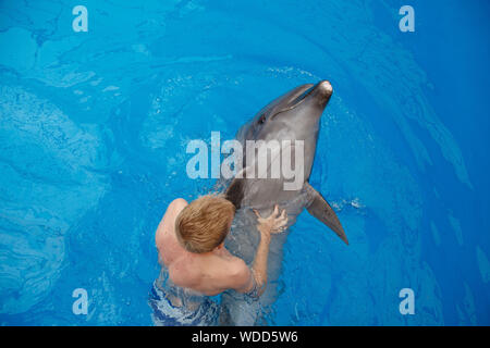 Glückliche Menschen schwimmen mit Delfin im Delphinarium Stockfoto