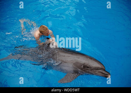 Glückliche Menschen schwimmen mit Delfin im Delphinarium Stockfoto