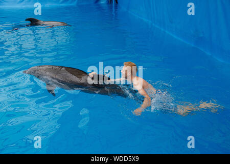 Glückliche Menschen schwimmen mit Delfin im Delphinarium Stockfoto