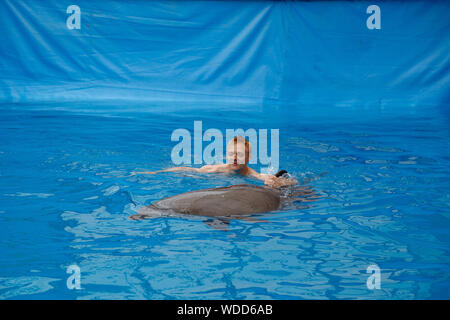 Glückliche Menschen schwimmen mit Delfin im Delphinarium Stockfoto