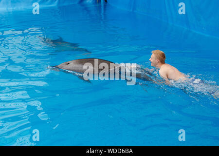 Glückliche Menschen schwimmen mit Delfin im Delphinarium Stockfoto