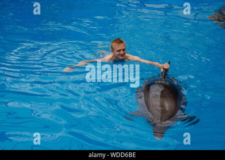 Glückliche Menschen schwimmen mit Delfin im Delphinarium Stockfoto