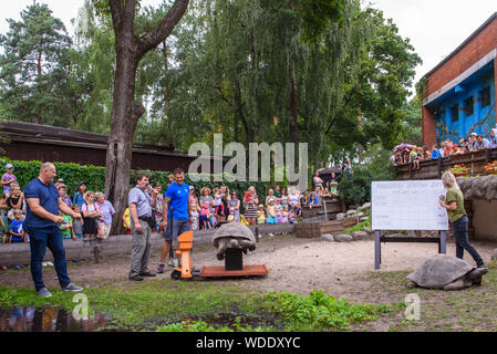 RIGA, Lettland. 29 Aug, 2019. 19. jährlichen Galápagos-Schildkröten wiegen Ereignis mit Hilfe der Schirmherr der Veranstaltung, Raimonds Bergmanis, strongman, und Daumants Dreiskens, bobsledder und Olympiasieger. im Rigaer Zoo. Credit: gints Ivuskans/Alamy leben Nachrichten Stockfoto