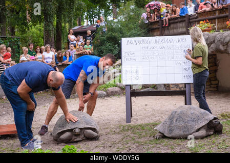 RIGA, Lettland. 29 Aug, 2019. 19. jährlichen Galápagos-Schildkröten wiegen Ereignis mit Hilfe der Schirmherr der Veranstaltung, Raimonds Bergmanis, strongman, und Daumants Dreiskens, bobsledder und Olympiasieger. im Rigaer Zoo. Credit: gints Ivuskans/Alamy leben Nachrichten Stockfoto