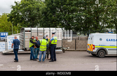 Bandon, West Cork, Irland. 29 Aug, 2019. Die Rinderzüchter weiterhin außerhalb ABP Bandon zu protestieren, obwohl ein Gericht injuction. Die Bauern sind unzufrieden mit den Gesprächen der letzten Woche, als der Preis für Rindfleisch bedeutet, dass Sie mit Verlust arbeiten. Früher, ein Wachmann von ABP versuchte, eine einstweilige Verfügung oto die Bauern, die sich weigerte, zu dienen. Die Bauern sagen, sie sind hier für die Langstrecken. Credit: Andy Gibson/Alamy leben Nachrichten Stockfoto