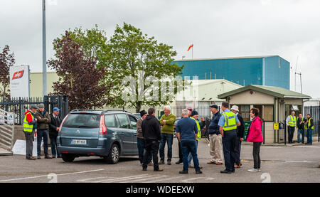 Bandon, West Cork, Irland. 29 Aug, 2019. Die Rinderzüchter weiterhin außerhalb ABP Bandon zu protestieren, obwohl ein Gericht injuction. Die Bauern sind unzufrieden mit den Gesprächen der letzten Woche, als der Preis für Rindfleisch bedeutet, dass Sie mit Verlust arbeiten. Früher, ein Wachmann von ABP versuchte, eine einstweilige Verfügung oto die Bauern, die sich weigerte, zu dienen. Die Bauern sagen, sie sind hier für die Langstrecken. Credit: Andy Gibson/Alamy leben Nachrichten Stockfoto