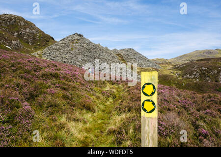 Öffentlichen Fußweg Richtung zeichen Pfeile auf Heideland mit Wanderer wandern durch Maenofferen schiefer Steinbruch. Blaenau Ffestiniog, Gwynedd, Wales, Großbritannien Stockfoto