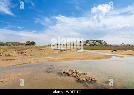 Naturpark der Marismas De Santoña in der Nähe von santoña Dorf, Kantabrien, Spanien Stockfoto