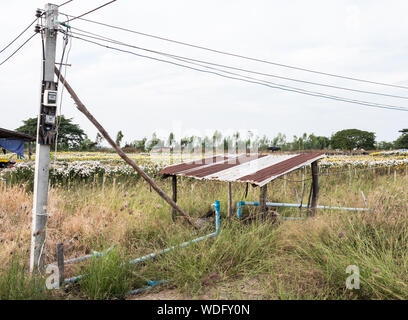 Kleine Halle mit verzinktem Dach für die elektrische Wasserpumpe in der lokalen flower Farm. Stockfoto