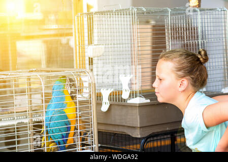 Schöne jugendlicher Mädchen suchen bunte Ara Papagei Käfig. Ara außerhalb ihres Käfigs auf sonnigen Tag. Stockfoto