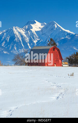 Red Barn unterhalb der Mission Berge im Winter in der Nähe von Ronan, Montana Stockfoto