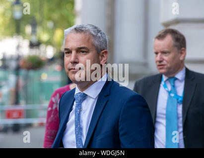 London, Großbritannien. 29 Aug, 2019. Stephen Barclay MP PC Brexit Sekretärin in Downing Street, London Quelle: Ian Davidson/Alamy leben Nachrichten Stockfoto