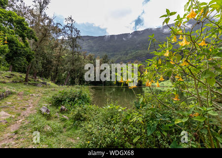 Landschaft mit idyllischen See, Engel Trompeten, grüne Bäume in das Innere der Insel Reunion im Indischen Ozean Stockfoto