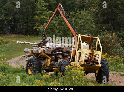 Logging Spediteur auf Feldweg. Stockfoto