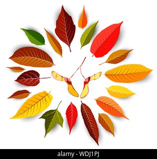Set aus bunten Blätter im Herbst Vektor Stock Vektor