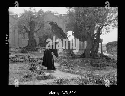 Gethsemane. Im Garten Abstract / Medium: G. Eric und Edith Matson Fotosammlung Stockfoto