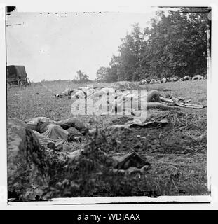 Gettysburg, Pa Confederate dead gesammelt für die Beerdigung am Rand der Rose Woods, 5. Juli 1863 Zusammenfassung: Ausgewählte Bürgerkrieg Fotografien, 1861-1865 Stockfoto