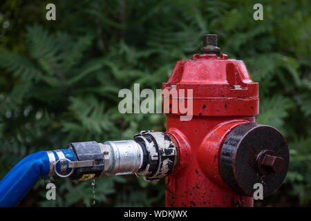 Red Fire Hydrant, Manitoba, Kanada. Stockfoto