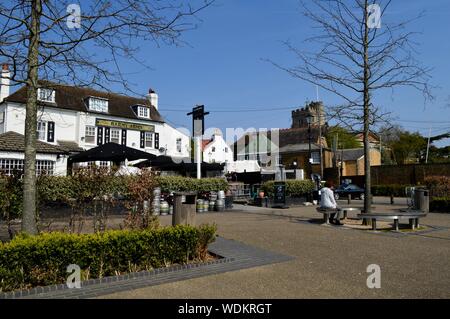 Die Barmy Arme Public House in Twickenham, London, Großbritannien Stockfoto