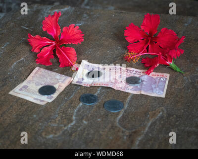 Indian Rupee Geld und roten Hibiskus Blumen Spenden an Chaturbhuja Tempel, Khajuraho Gruppe von Denkmälern, Khajuraho, Madhya Pradesh, Indien, Asien gegeben Stockfoto