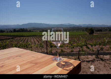 Hektar Weinberge durch Brechung durch ein Glas mit Rose Wein serviert gesehen Stockfoto