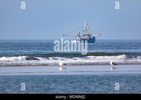 Fischkutter in der Nordsee, an der Küste in der Nähe von Egmond aan Zee, Nordholland, Niederlande, Stockfoto