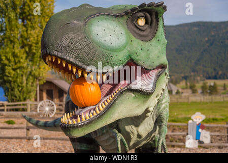 Armstrong, British Columbia/Kanada - 23. Oktober 2016: Tyrannosaurus Rex statue Holding Kürbis in ihren Mund im Log Scheune lagern und Streichelzoo. Stockfoto