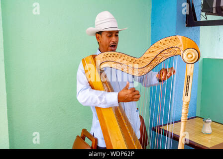 Lokale männliche Harfenistin spielt eine Harfe, Mexiko City, Mexiko Stockfoto