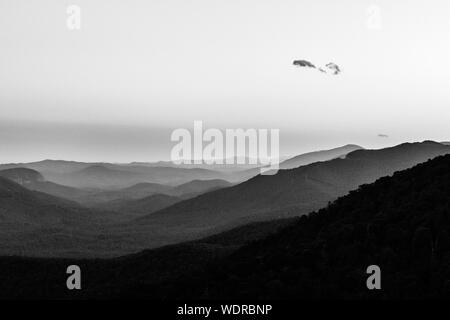 Wellen der Berge in der Ferne, von der Pisgah Inn auf dem Blue Ridge Parkway in Waynesville, NC, USA gesehen Stockfoto