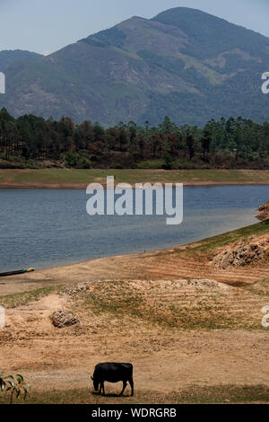 (Anayirankal anayirangal Dam Dam) - Eine der besten Attraktionen in Munnar Stockfoto