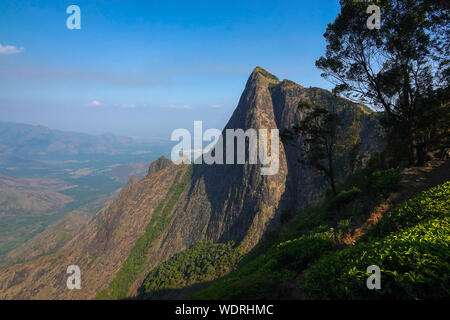 Grüner Tee Plantage Hügeln mit blauen Himmel im Hintergrund in Munnar, Kerala, Indien. Kolukkumalai tee Immobilien Punkt. Kerala, Tamil Nadu, Indien Stockfoto