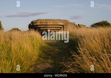 Point du Hoc in der Normandie Stockfoto