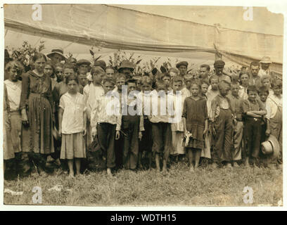 Waren Gruppe von Tabak Picker in Bermant Plantage, 3 10 Jahre, 3 waren 11 Jahre, 13 waren 12 Jahre, 12 waren 13 Jahre, 2-14 Jahre alt. Der Besitzer sagte, sie alle erhalten Sie $ 1,25 pro Tag. Abstract: Fotografien aus den Aufzeichnungen des Nationalen Kinderarbeit Committee (USA) Stockfoto