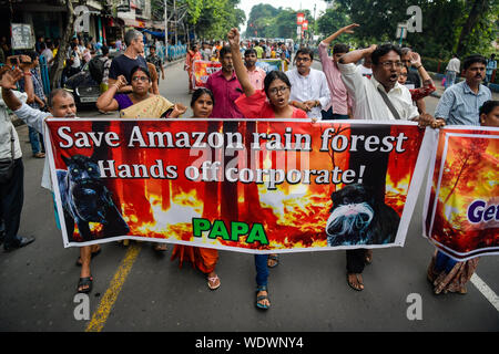 Kolkata, Indien. 29 Aug, 2019. Die Demonstranten skandieren Parolen halten ein Banner während des Protestes gegen die verheerenden Wild Fire in Amazon und Hervorhebung Bedenken über die Kontrolle der Politik durch die brasilianische Präsident Jair Bolsonaro Messias. Den tobenden Feuer, brennende massive erstreckt sich der Amazonas Regenwald, haben durch August 2019 intensiviert das Leben der Volk bedroht. Unter den 80000 Brände in diesem Jahr bisher, dies wird protokolliert die tödlichste werden durch das Nationale Institut für Weltraumforschung (INPE). Credit: SOPA Images Limited/Alamy leben Nachrichten Stockfoto