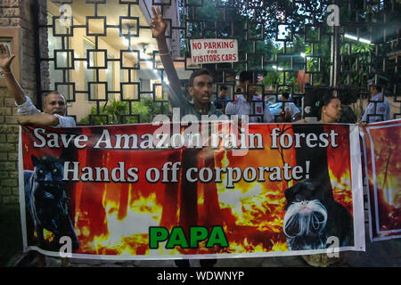 Kolkata, Indien. 29 Aug, 2019. Die Demonstranten skandieren Parolen halten ein Banner während des Protestes gegen die verheerenden Wild Fire in Amazon und Hervorhebung Bedenken über die Kontrolle der Politik durch die brasilianische Präsident Jair Bolsonaro Messias. Den tobenden Feuer, brennende massive erstreckt sich der Amazonas Regenwald, haben durch August 2019 intensiviert das Leben der Volk bedroht. Unter den 80000 Brände in diesem Jahr bisher, dies wird protokolliert die tödlichste werden durch das Nationale Institut für Weltraumforschung (INPE). Credit: SOPA Images Limited/Alamy leben Nachrichten Stockfoto