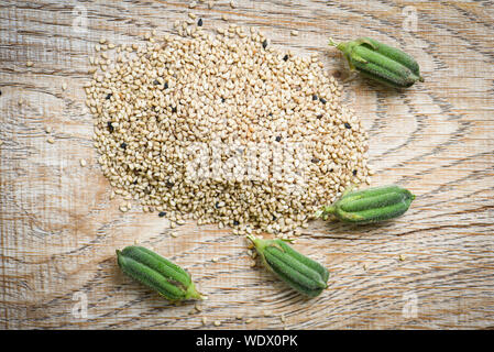 Sesamsamen in einem hölzernen Hintergrund und grünen Sesam Hülsen Stockfoto