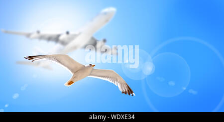 Möwe Vogel fliegen zusammen mit einem Flugzeug über ihm. Ansicht von unten. Stockfoto