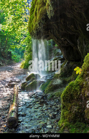 Moos Wasserfall Wutachschlucht Schlucht, Schwarzwald, Baden-Württemberg, Deutschland, Stockfoto