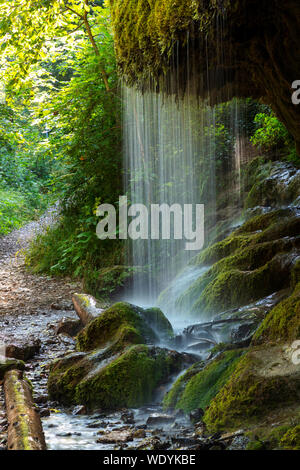 Moos Wasserfall Wutachschlucht Schlucht, Schwarzwald, Baden-Württemberg, Deutschland, Stockfoto