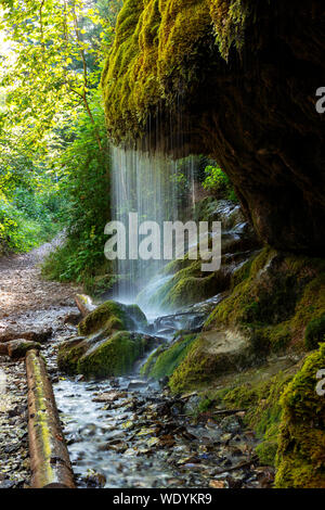 Moos Wasserfall Wutachschlucht Schlucht, Schwarzwald, Baden-Württemberg, Deutschland, Stockfoto