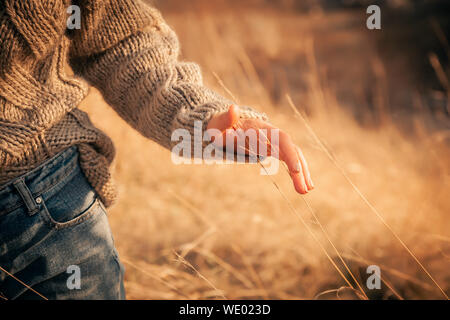 Schöne sanfte atmosphärische Moment: Eine weibliche Hand führt entlang Gelb getrocknete Ähren im Hintergrund. Stockfoto