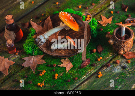 Rote giftige Pilze auf einem Holztisch mit Moos und Blättern. Herbst flach mit Kopie Raum Stockfoto