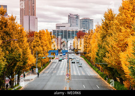 DEC 5, 2018 Tokyo, Japan - Tokio gelbem ginkgo Baum entlang der beiden Seiten von gaien Higashi Dori Straße im Herbst mit Autos und Gebäude im Hintergrund. Stockfoto