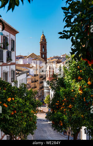 San Sebastian Kirche Turm in Antequera, Provinz Malaga, Andalusien, Spanien Stockfoto