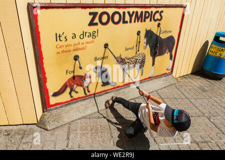 England, East Sussex, Eastbourne, Alfriston, Drusillas Park Zoo und Vergnügungspark, junge Besucher Testen Stärke auf Zoolympics Board Stockfoto